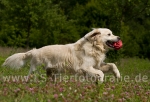 05 Balu